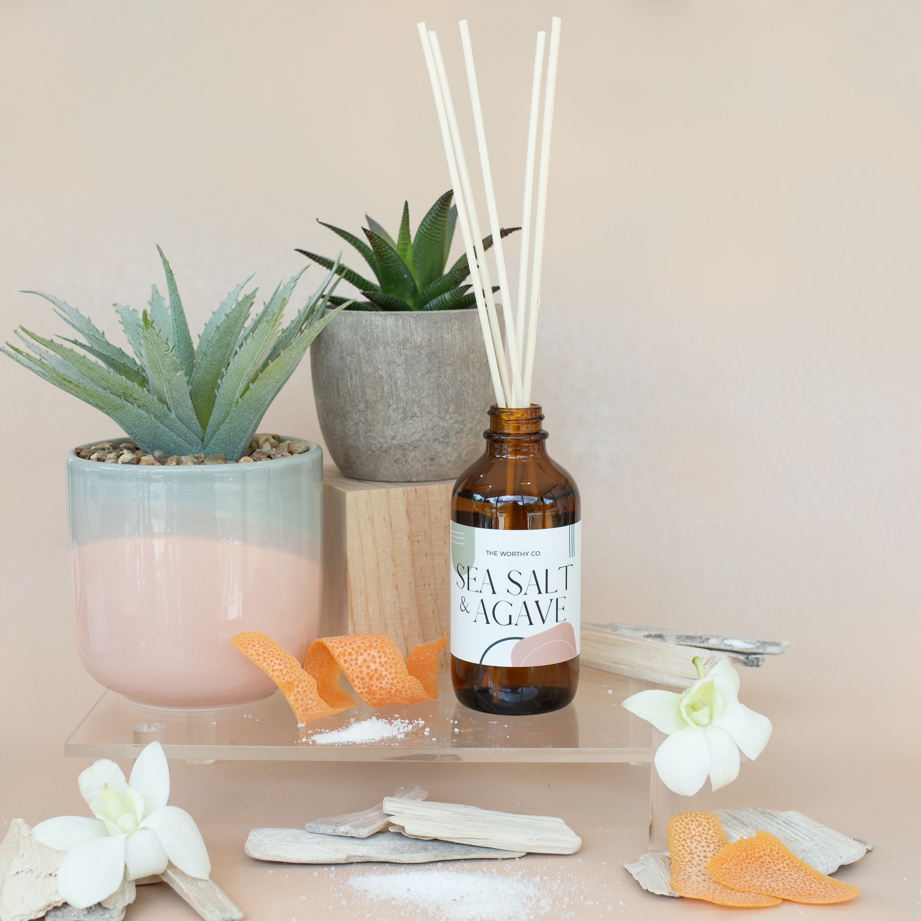 Reed Diffuser: Sea Salt Agave – The Worthy Co